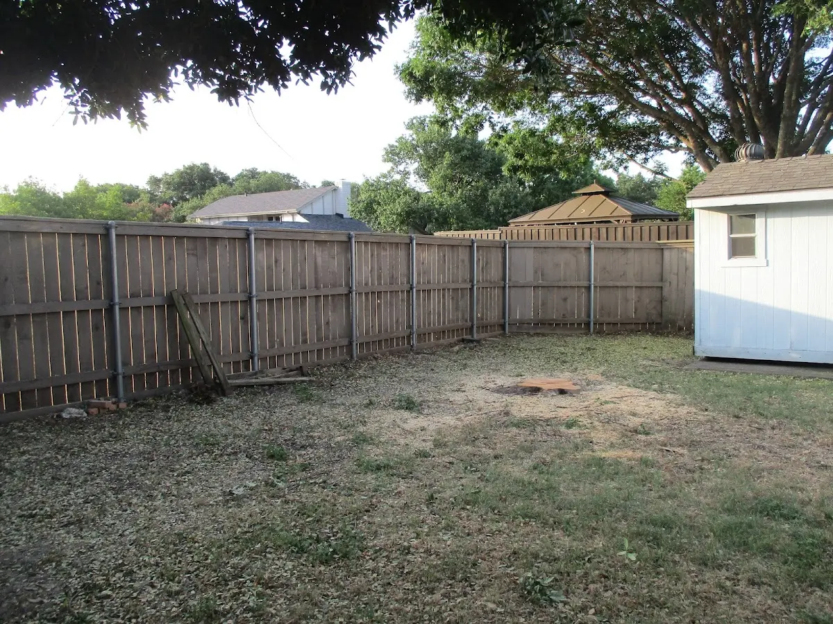 Cleared yard after professional tree removal in La Salle